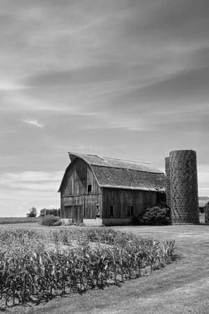 Photographic Print, , small