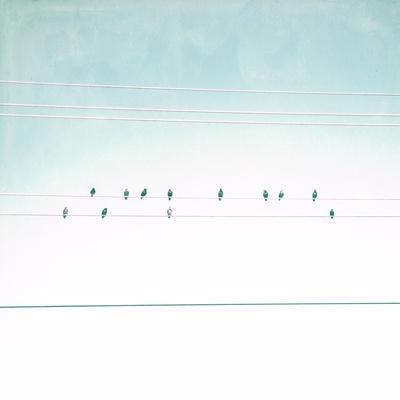 Photographic Print, , small