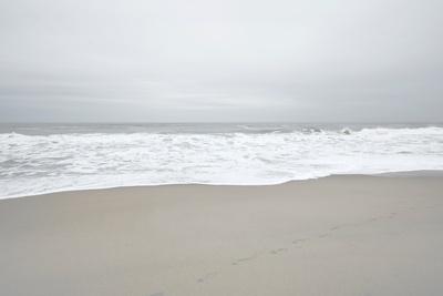 Photographic Print, , small