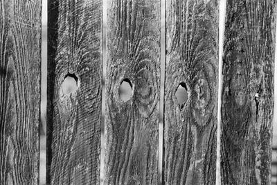 Photographic Print, , small