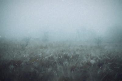 Photographic Print, , small