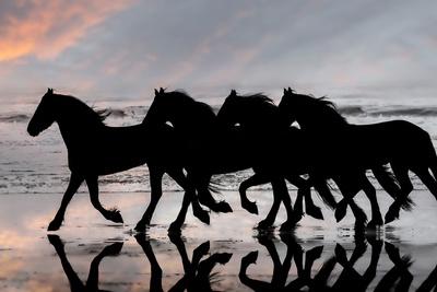 Photographic Print, , small