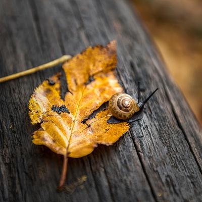 Photographic Print, , small
