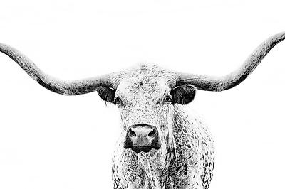 Photographic Print, , small