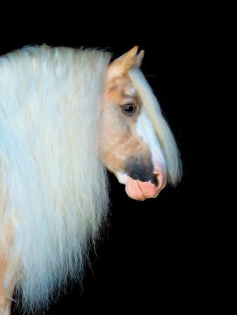 Photographic Print, , small