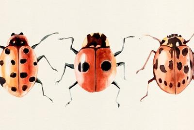 Art Print, , small