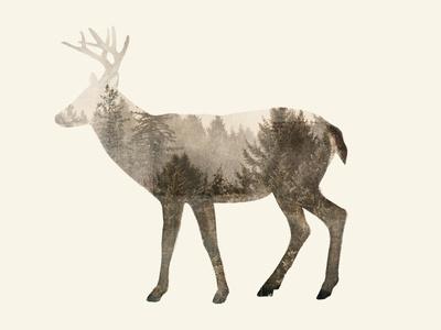 Art Print, , small