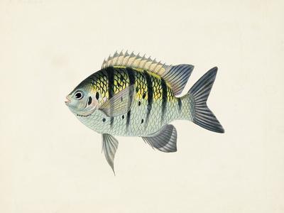 Art Print, , small