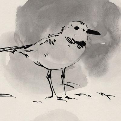 Art Print, , small
