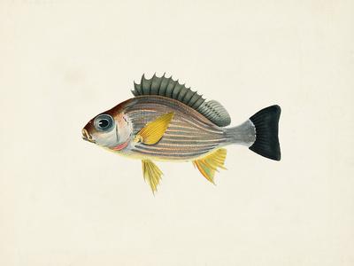 Art Print, , small