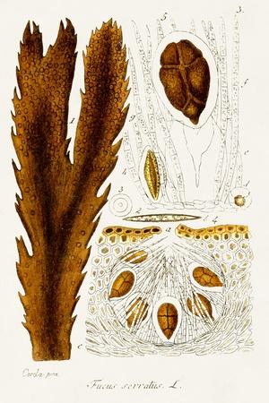 Art Print, , small