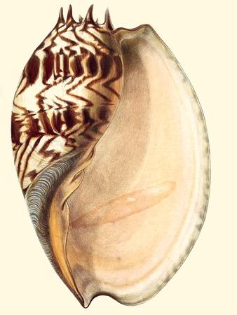 Art Print, , small