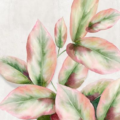 Art Print, , small