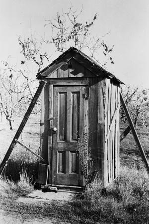 Photographic Print, , small