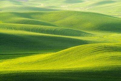 Photographic Print, , small