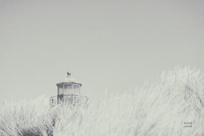 Photographic Print, , small