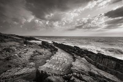 Photographic Print, , small