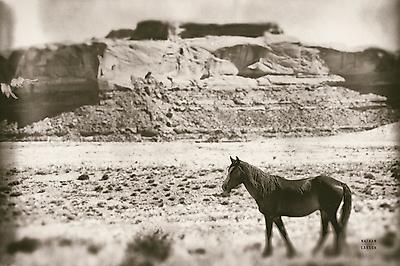 Photographic Print, , small