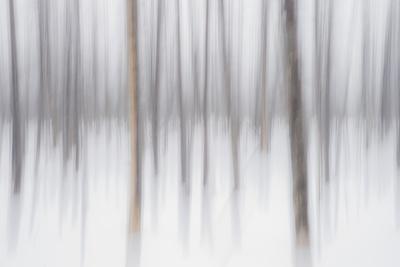 Photographic Print, , small