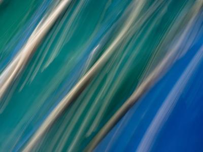 Photographic Print, , small