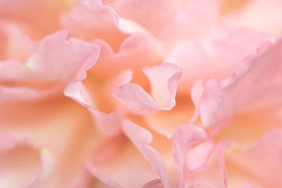 Photographic Print, , small