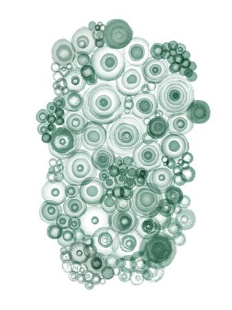 Art Print, , small