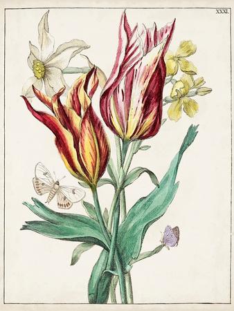 Art Print, , small