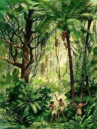 Giclee Print, , small