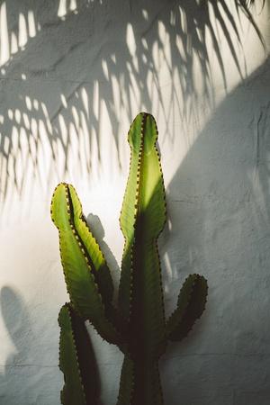 Photographic Print, , small