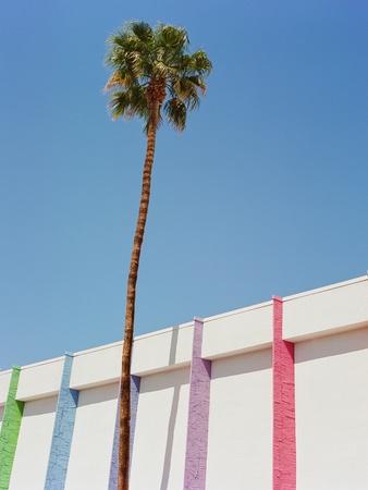Photographic Print, , small