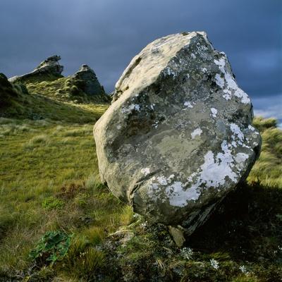 Photographic Print, , small