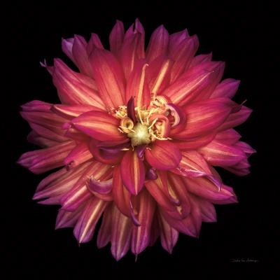 Photographic Print, , small