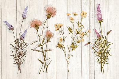 Art Print, , small