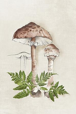Art Print, , small