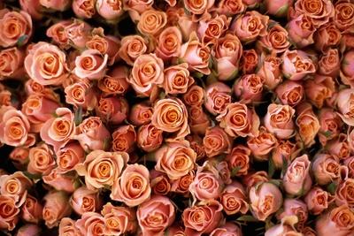 Photographic Print, , small