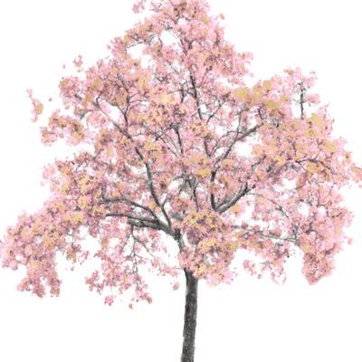 Art Print, , small