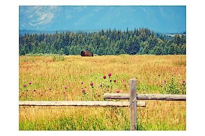 Photographic Print, , small