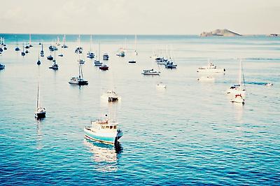Photographic Print, , small