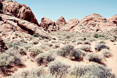 Photographic Print, , small