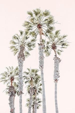 Photographic Print, , small
