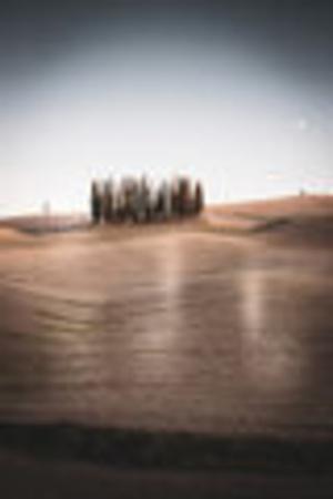 Photographic Print, , small