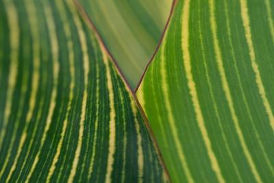 Photographic Print, , small