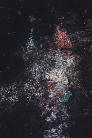 Photographic Print, , small