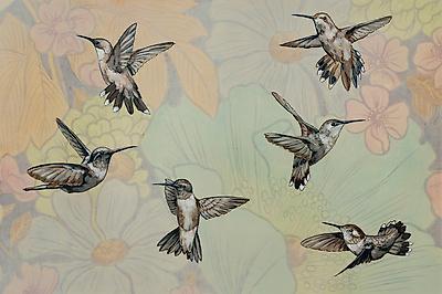 Art Print, , small