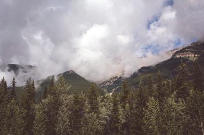 Photographic Print, , small