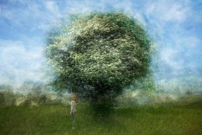 Photographic Print, , small