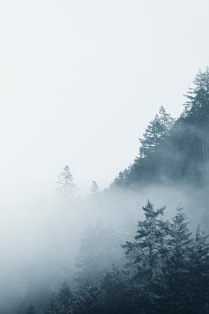 Photographic Print, , small