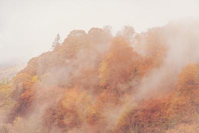 Photographic Print, , small