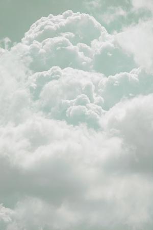 Photographic Print, , small