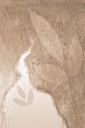 Photographic Print, , small